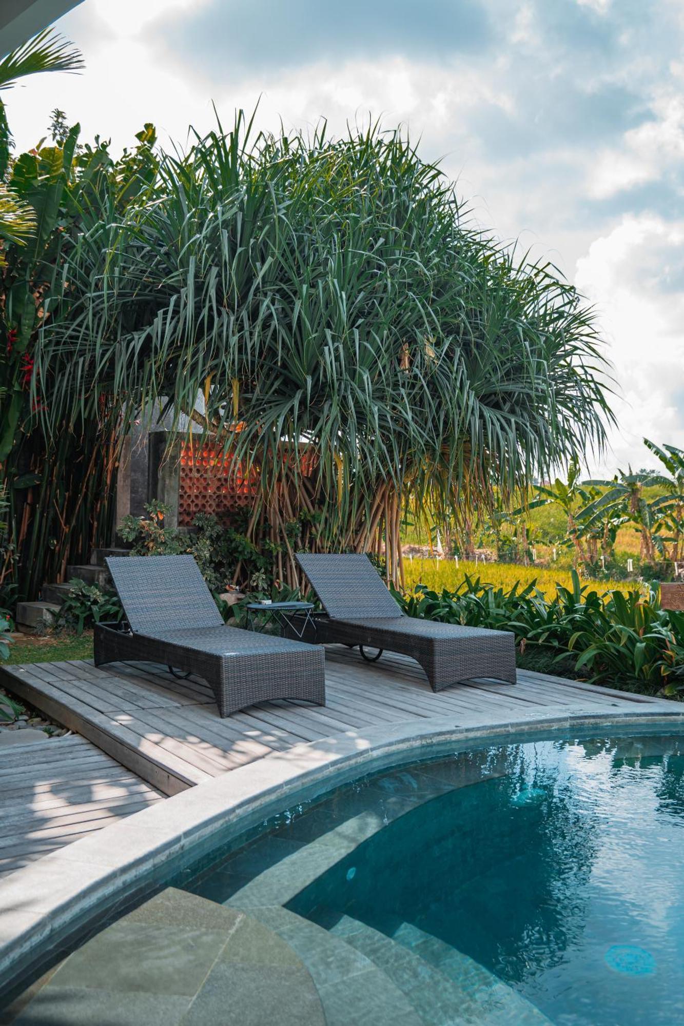 Mahalona Bali Stay Canggu Exteriör bild